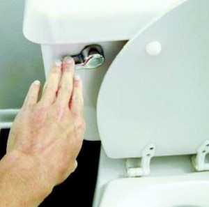 Ada 10 Hal Yang Mengandung Kuman Lebih dari Kursi Toilet 10thingsthatcontainsmoregermsthanyourtoiletseats